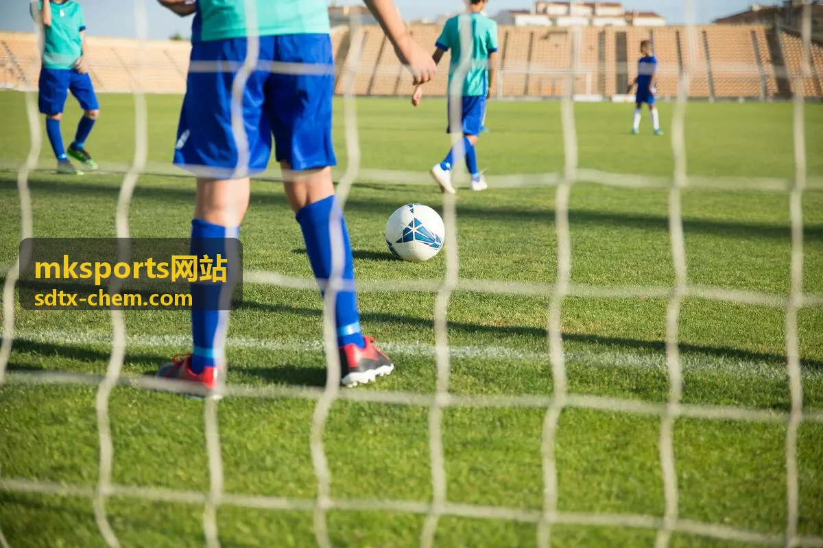 mksports网站塑胶跑道弹性层材料铺装