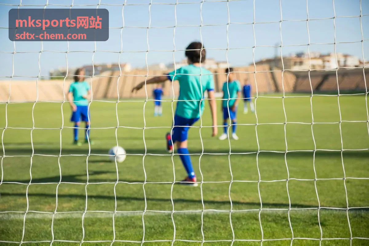 mksports网站运动场地材料选型分类入口